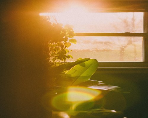 Sunlight streaming through window illuminating a desk